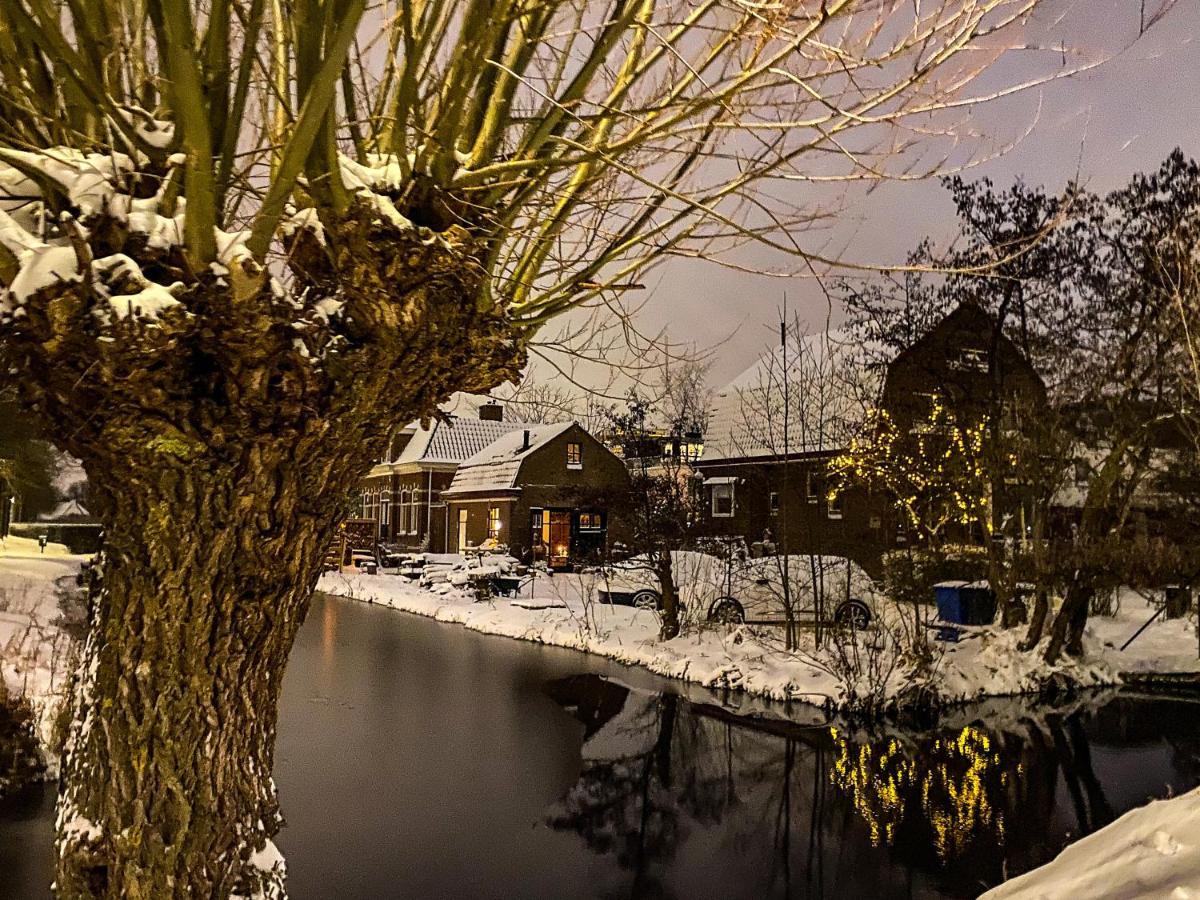 Guesthouse Rotterdam, Tinyhouse Nearby Kralingen ภายนอก รูปภาพ