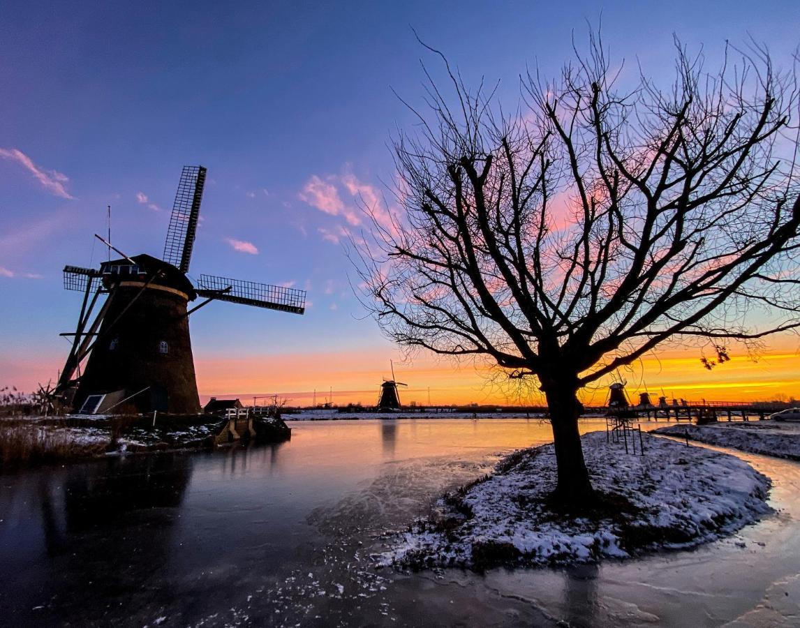 Guesthouse Rotterdam, Tinyhouse Nearby Kralingen ภายนอก รูปภาพ